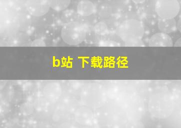 b站 下载路径